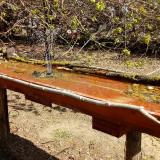 photo 2021-04-09 11-22-48