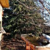 photo 2021-12-13 08-59-44