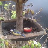 photo 2019-12-06 12-28-54