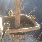 photo 2019-12-30 09-57-08