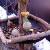 photo 2019-01-17 07-15-21