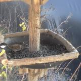 photo 2019-12-27 13-07-54