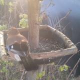 photo 2019-12-17 08-49-03