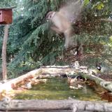 photo 2023-10-04 08-49-24