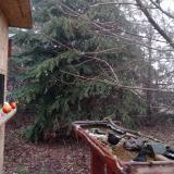 photo 2021-12-16 08-25-51