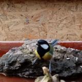 photo 2022-01-31 14-25-14-cinke