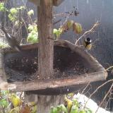 photo 2019-12-02 11-41-25