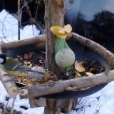 photo 2019-01-14 08-12-29