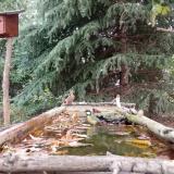 photo 2023-10-08 12-24-43