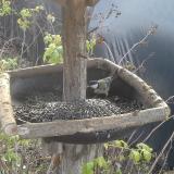 photo 2019-12-15 11-13-38