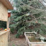 photo 2021-12-26 12-11-10