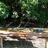 photo 2021-09-08 09-44-44