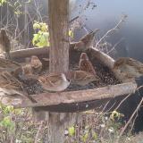 photo 2019-12-18 08-08-39