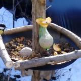 photo 2019-01-14 09-56-10