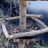 photo 2019-01-02 08-00-00