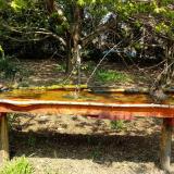 photo 2021-04-21 12-52-07