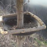 photo 2019-03-04 07-28-44