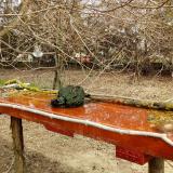 photo 2021-03-23 11-18-02