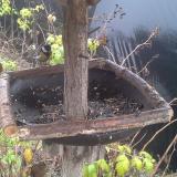 photo 2019-12-14 11-15-29