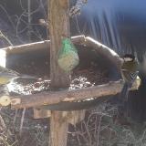 photo 2019-02-12 10-37-26