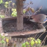 photo 2019-12-12 11-52-49