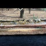 photo 2021-12-01 13-14-19