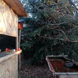 photo 2022-01-01 07-55-27