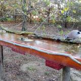 photo 2021-04-07 06-48-27