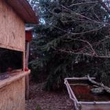 photo 2022-01-05 07-19-34