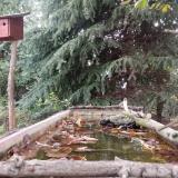 photo 2023-10-09 15-38-55