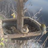 photo 2019-12-29 13-27-30