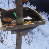 photo 2019-01-26 09-58-03