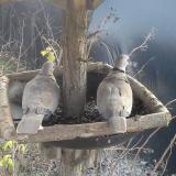 photo 2019-12-28 12-56-54