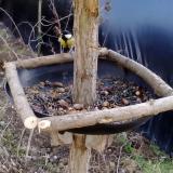 photo 2019-01-03 12-55-08