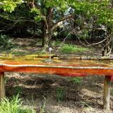 photo 2021-04-27 09-31-31