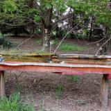 photo 2021-04-27 19-06-13