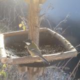 photo 2019-12-29 10-10-04