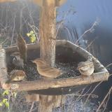 photo 2019-12-27 12-12-30