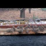 photo 2021-11-22 08-15-25