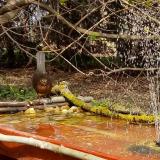 photo 2021-04-03 13-16-41 rigo