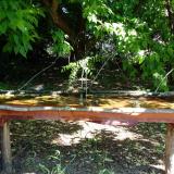 photo 2021-05-21 09-49-17