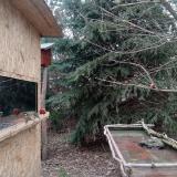 photo 2022-01-08 12-16-16