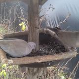 photo 2019-12-25 12-51-22