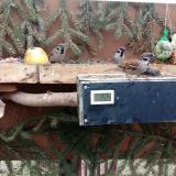 photo 2021-02-02 09-46-27