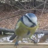 photo 2021-11-10 10-20-29 kekcinege