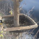 photo 2019-12-29 13-33-03