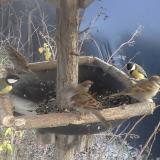 photo 2019-12-29 12-06-54