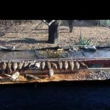 photo 2021-11-24 12-38-41