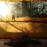 photo 2022-01-19 08-25-58