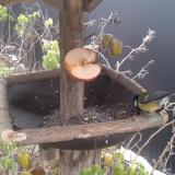 photo 2019-12-04 10-16-05